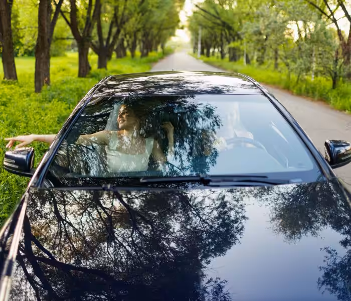Car insurance renewal